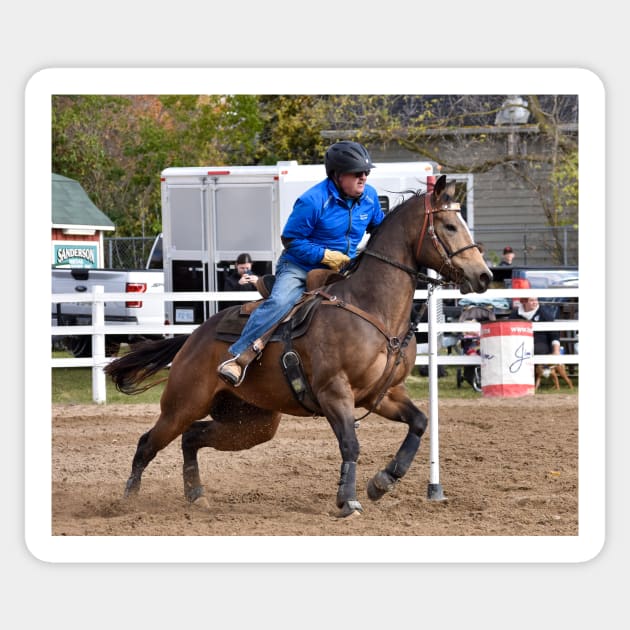 Barrel racing Sticker by theartsyeq